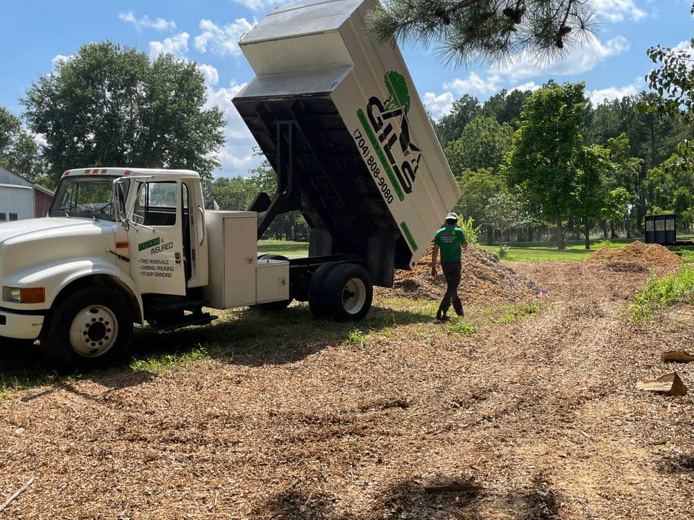 Dump truck unloading mulch at landscaping site with worker nearby under sunny sky.