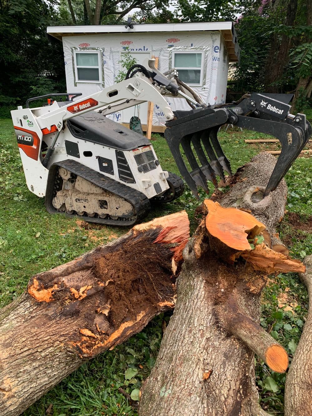 Bobcat MT100 compact track loader with grapple lifting chopped tree logs in yard.