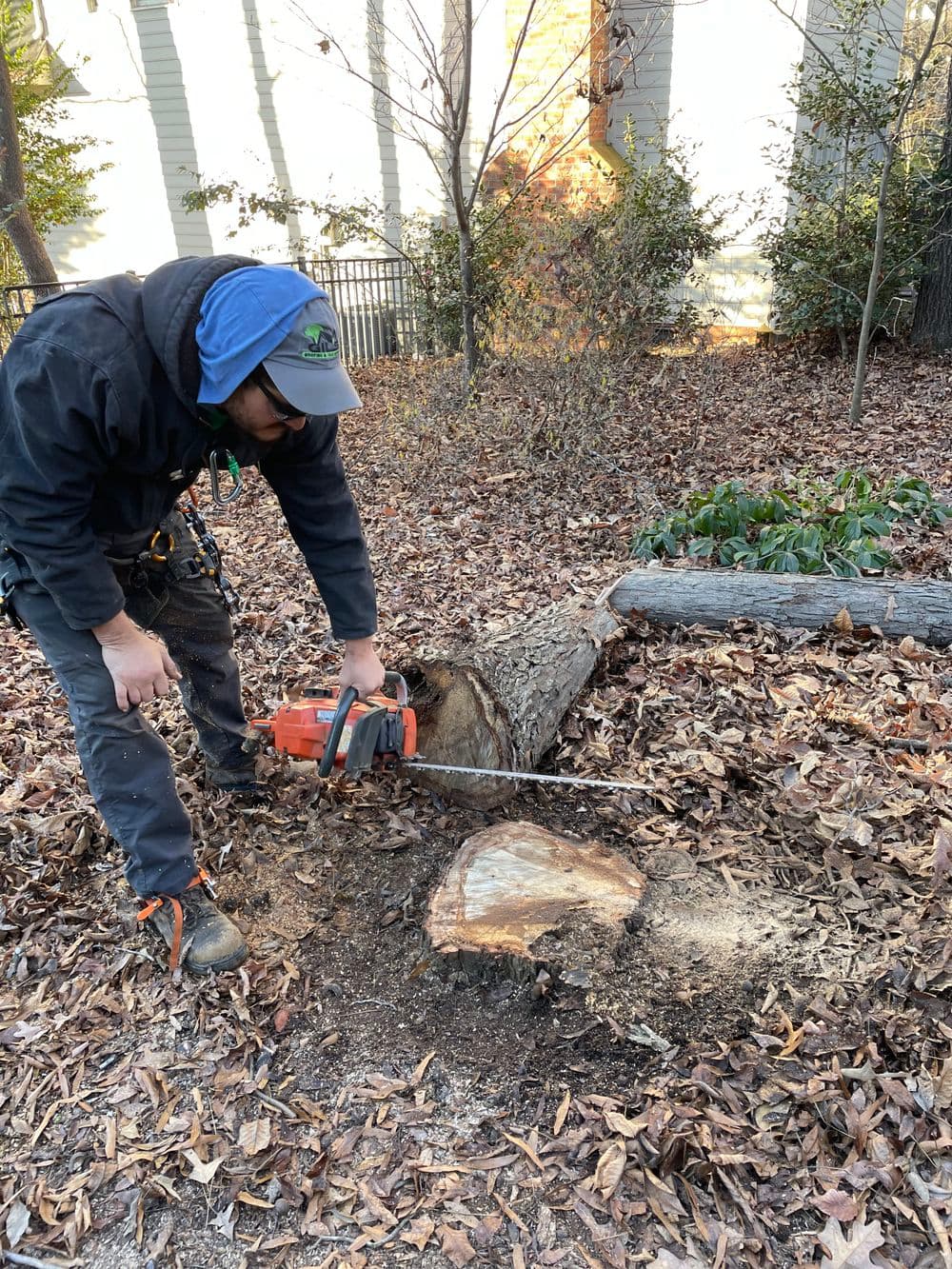 Man using a chainsaw to cut a tree stump in a leaf-strewn outdoor area.