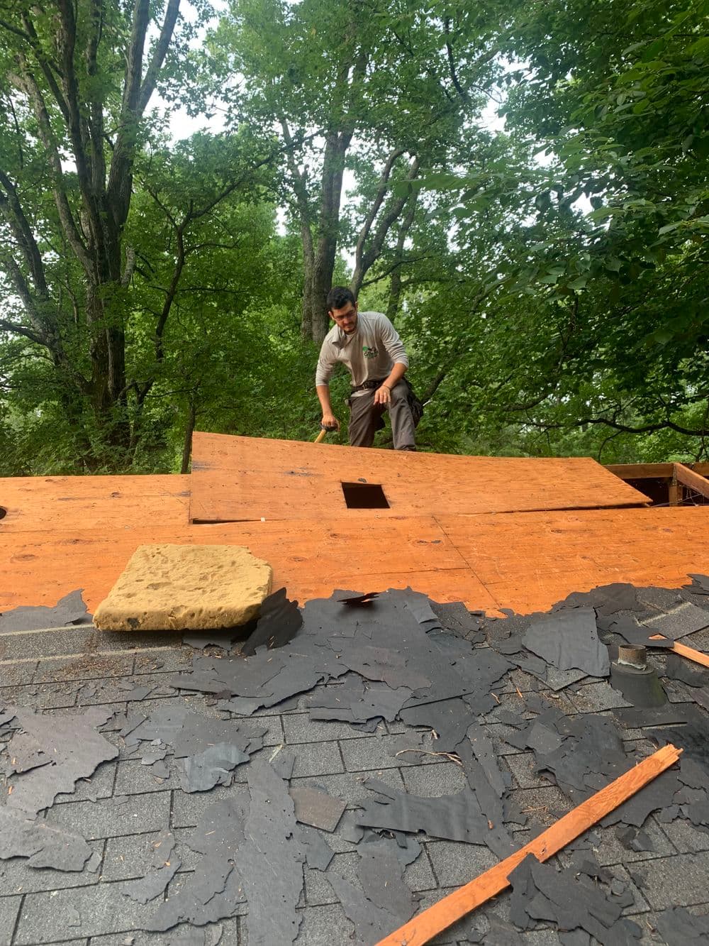 Roofer working on a residential roof, removing old shingles amidst lush green trees.