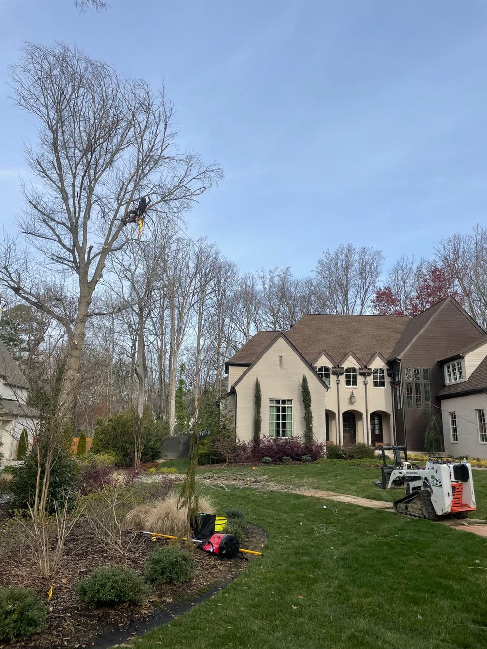 Tree trimming service in residential yard with a large house in the background.