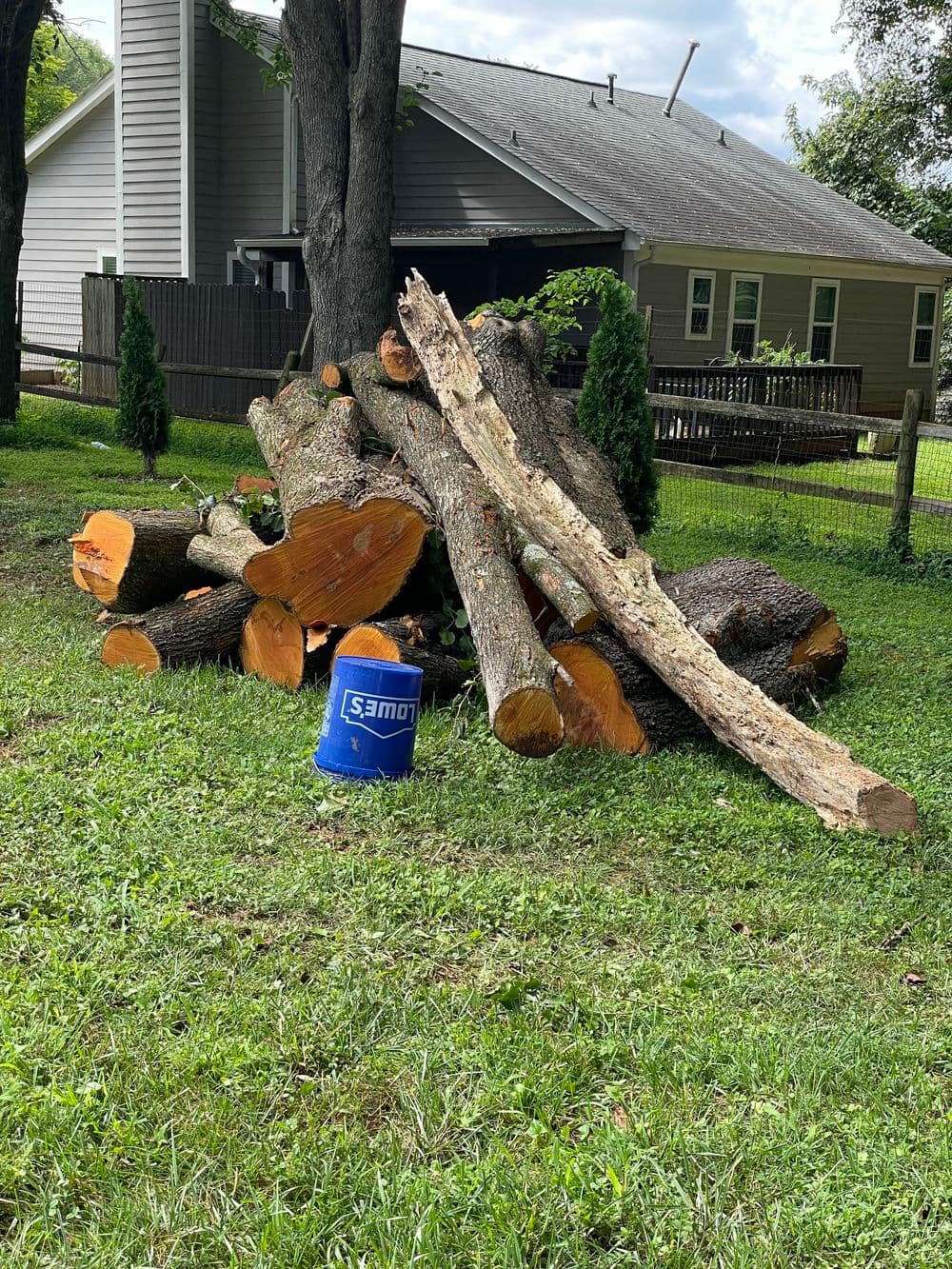 Wooden logs stacked in a yard with a blue bucket beside them and a house in the background.