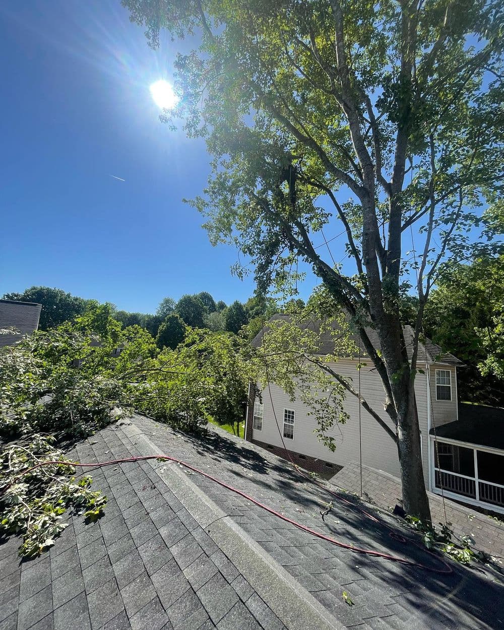 View from a roof showing a sunny backyard with trees and a nearby house.