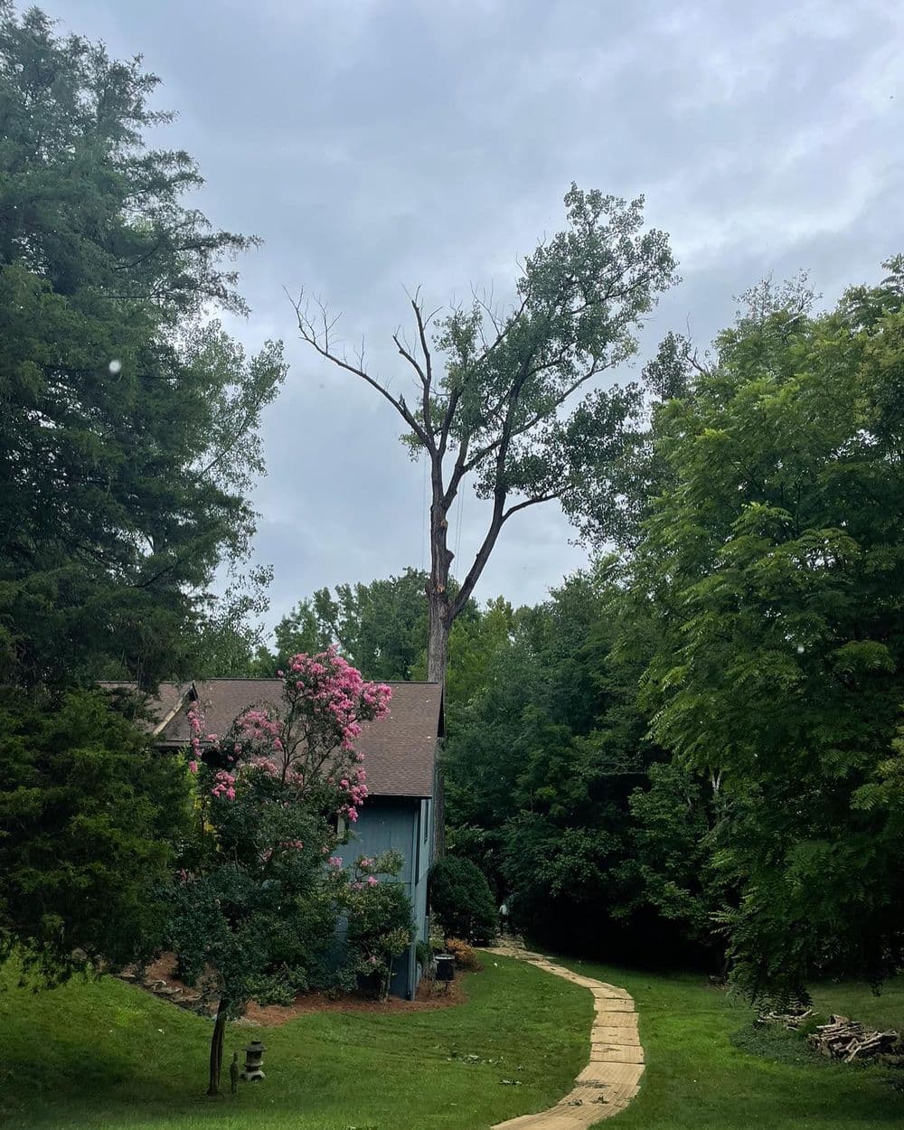 Lush green landscape with a house, flowering tree, and a tall, dead tree against a cloudy sky.